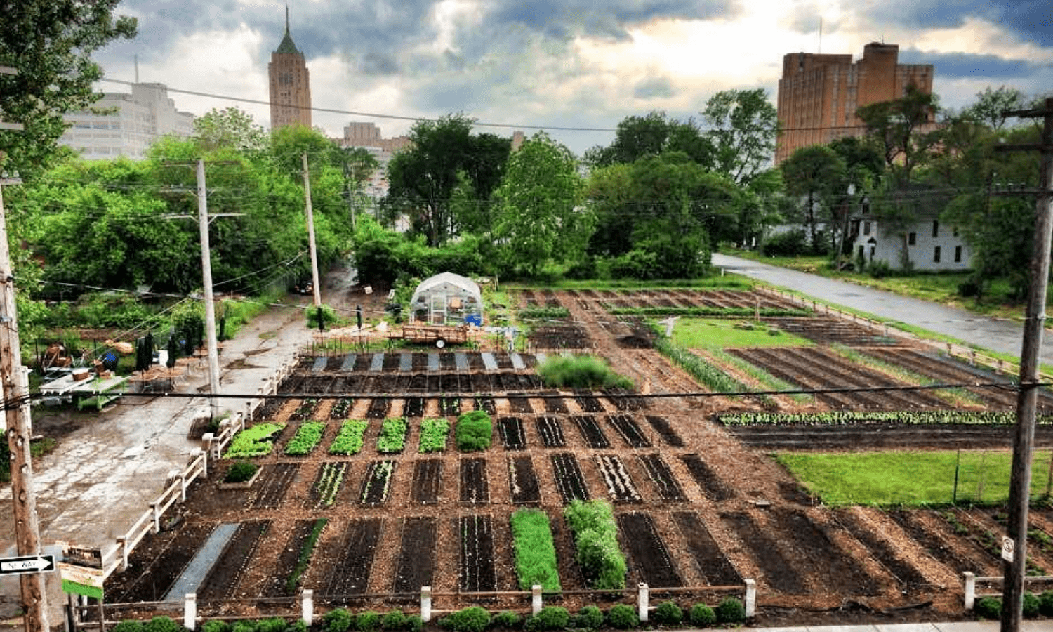 Urban Farming